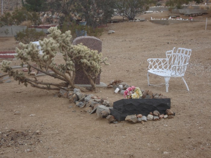 Keeping Company with the Joshua Tree